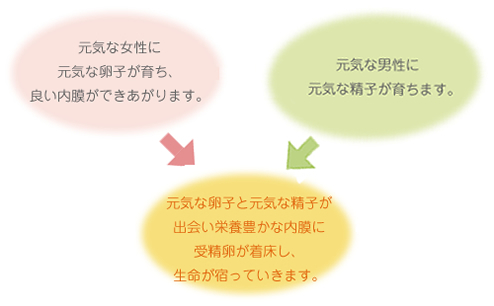 子宮苗床論に基づいた考え方2