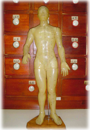 トップアイキャッチ